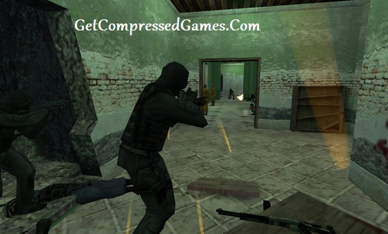 Counter-Strike Gameplay